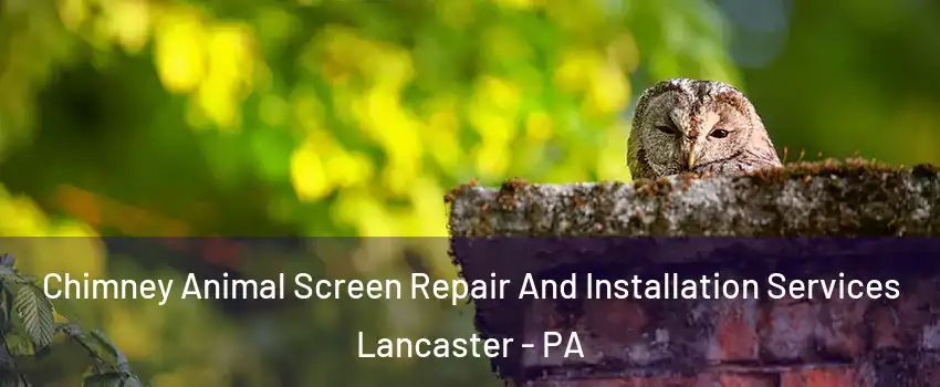 Chimney Animal Screen Repair And Installation Services Lancaster - PA