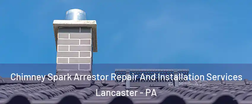  Chimney Spark Arrestor Repair And Installation Services Lancaster - PA
